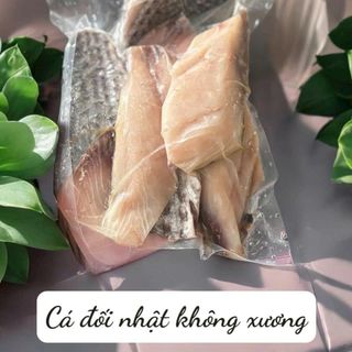 CÁ ĐỐI NHẬT PHI LÊ