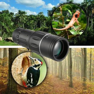 ỐNG NHÒM BEDELL SIÊU NÉT 16X52