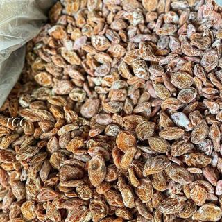 XÍ MUỘI THỊT KHÔNG HẠT - HƯƠNG VỊ TUỔI THƠ 500G - WINNIE HOUSE