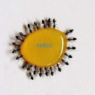 Chế Phẩm Diệt Kiến Gián Anbio