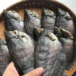 Khô sặc Lạt size 10