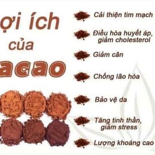 BỘT CACAO NGUYÊN CHẤT ĐẮK LẮK 500G - WINNIE HOUSE