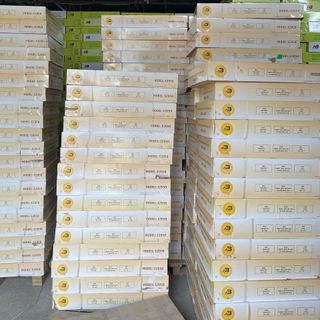 Khung treo TV di động I-Bracket E2050 32″ – 75″ – Hàng nhập khẩu, Full VAT