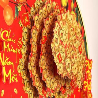 Cây Kim Tiền Lắc 4D mang lại may mắn , tài Lộc