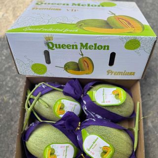 Dưa queen