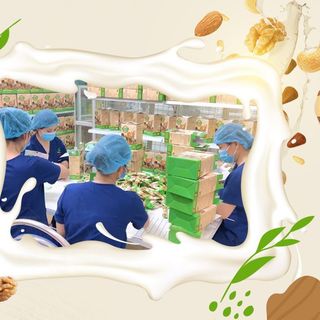 SỮA HẠT THUẦN CHAY – SỮA HẠT DINH DƯỠNG 36 VỊ HẠT – HỒNG HOA ORGANIC