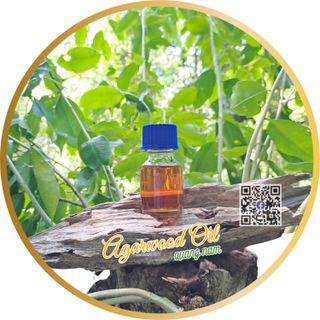 Tinh Dầu Trầm Hương (Agarwood Essential Oil)