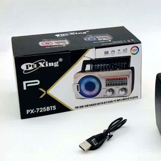 Đài Radio Puxing PX-725BT