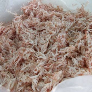 THÙNG 20KG - Giá ưu đãi - Salted Baby Shrimp - Ruốc muối - Mắm tép dùng làm kim chi, nước sốt hoặc ăn sống