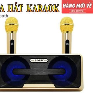 LOA KARAOKE KÈM 2 MIC SDRD SD- 301