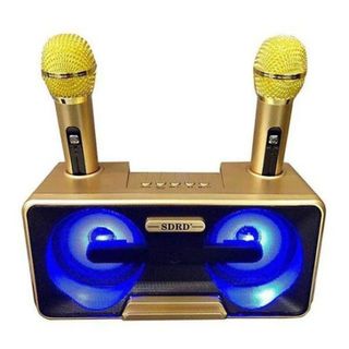 LOA KARAOKE KÈM 2 MIC SDRD SD- 301