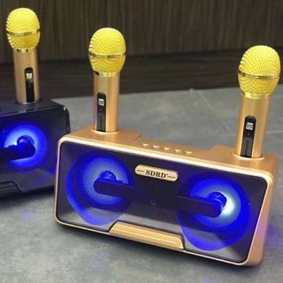 LOA KARAOKE KÈM 2 MIC SDRD SD- 301