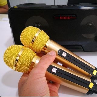 LOA KARAOKE KÈM 2 MIC SDRD SD- 301