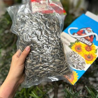 Hạt dưa + Hạt hướng dương