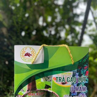 Trà Gạo Lứt ủ mầm Mai Xuân