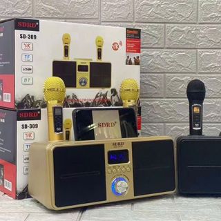 Loa karaoke bluetooth SDRD SD-309 - Tặng kèm 2 micro không dây có màn hình LCD