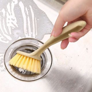 CÂY RỬA CHÉN LÚA MẠCH
