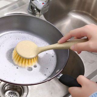 CÂY RỬA CHÉN LÚA MẠCH