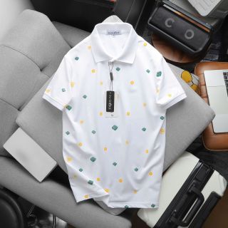 ÁO NAM, ÁO POLO NAM, ÁO THUN CÓ CỔ, ÁO THUN CỔ BẺ, POLO SAVOUR