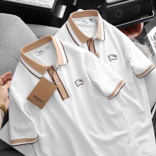 Áo thun nam. Chất cá sấu cotton 100% vải nhập , k quá dầy cũng k quá mỏng, vừa phải mịn nhe