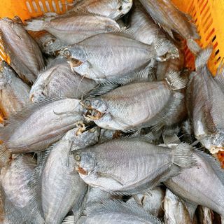 Khô cá sặc bổi size 8-9 con/kg