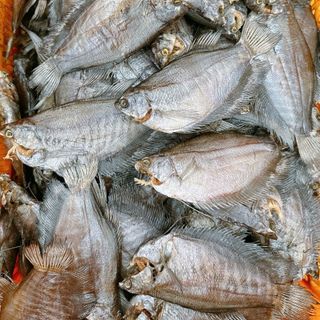 Khô cá sặc bổi size 8-9 con/kg