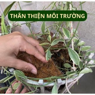 Miếng Xơ Dừa Rửa Chén Dừa Homecar Tiết kiệm nước rửa chén, sạch kin kít