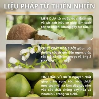 Men Dừa Gội Đầu Konus & Ủ Xả Konus , Dầu gội mềm mượt 500ml, Kem xả mượt tóc