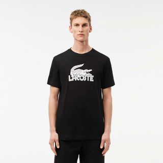 Áo thun nam. Chất liệu: cotton 4 chiều, mềm mịn mát, dầy dặn.