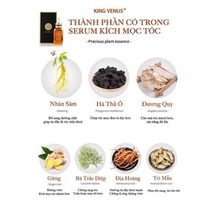 Serum Kích Mọc Tóc King Venus 35ml - Kích Thích Mọc Tóc Con