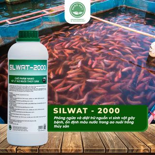 Chế Phẩm Nano Bạc Silwat-2000 - Xử lý Ao Nuôi Thủy Sản, Cải Tạo Môi Trường Nước, Diệt Nấm, Vi Khuẩn 1L