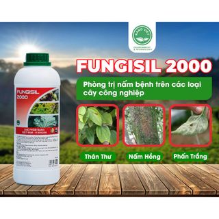 Chế Phẩm Nano Fungisil-2000 Phòng Ngừa Và Diệt Trị Nấm, Vi Khuẩn, Vi-rút Gây Bệnh Cho Cây Ăn Trái 1L