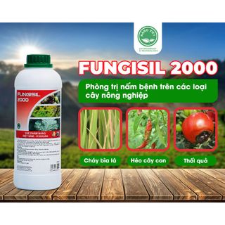 Chế Phẩm Nano Fungisil-2000 Phòng Ngừa Và Diệt Trị Nấm, Vi Khuẩn, Vi-rút Gây Bệnh Cho Cây Ăn Trái 1L