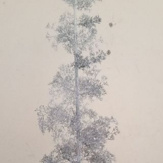 Cây xanh tiểu cảnh mini để bàn handmade
