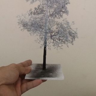 Cây xanh tiểu cảnh mini để bàn handmade