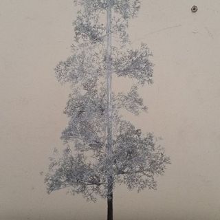 Cây xanh tiểu cảnh mini để bàn handmade