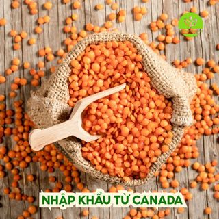 Đậu Lăng Đỏ Hữu Cơ Không biến đổi Gen, Nhập Khẩu Canada