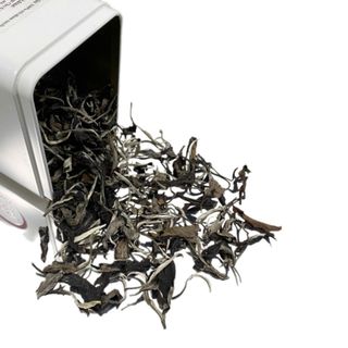 TRÀ CỔ THỤ-HỘP THIẾC VÂN NỔI