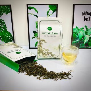 TRÀ CỔ THỤ-TÚI GIẤY KRAFT