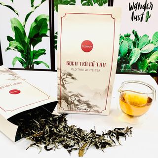TRÀ CỔ THỤ-TÚI GIẤY KRAFT
