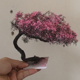 Cây 🌲 tiểu cảnh mini để bàn 05