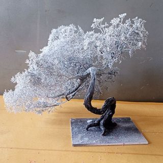 Cây 🌲 tiểu cảnh mini để bàn 02