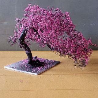 Cây 🌲 tiểu cảnh mini để bàn 03