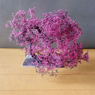 Cây 🌲 tiểu cảnh mini để bàn 03