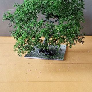 Cây 🌲 tiểu cảnh mini để bàn