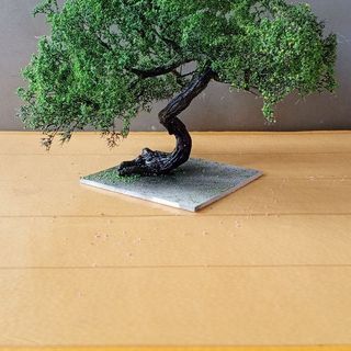 Cây 🌲 tiểu cảnh mini để bàn