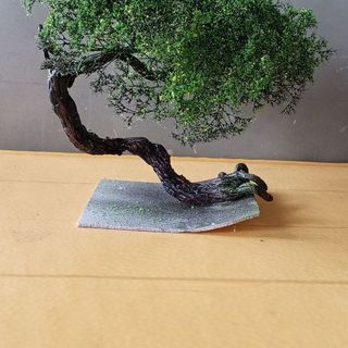 Cây 🌲 tiểu cảnh mini để bàn 04