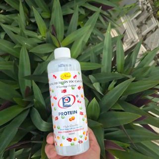 THUỐC UỐN TÓC LẠNH PROTEIN - TRÁI CÂY