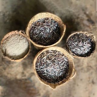 NƯỚC MẮM CÁ CƠM TRUYỀN THỐNG THUẬN PHÁT LOẠI HẠNG NHẤT (THÙNG 6 CHAI)