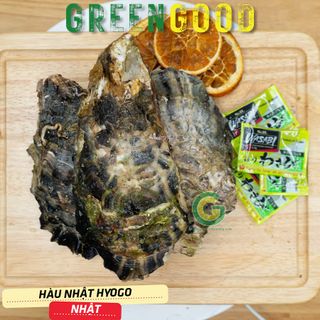 Hàu Nhật Hyogo Tươi Nhập Khẩu Trực Tiếp Từ Nhật